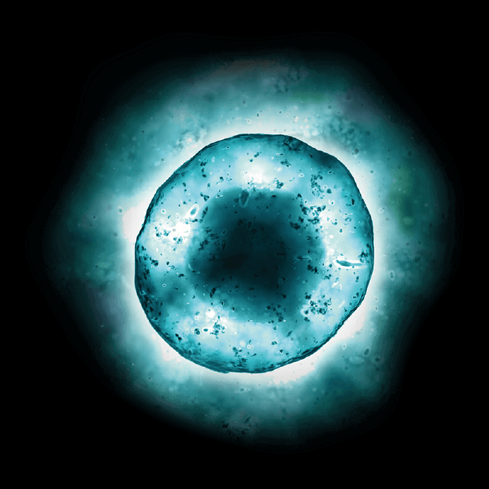 使い続けることで、肌本来の再生力を呼び醒まし、内側から美しく持続させます。